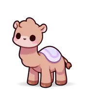Camel