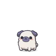 Pug